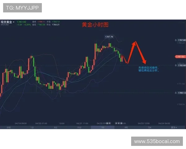 深入分析USDT开盘价对市场走势的影响